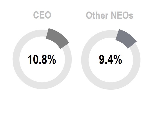 STI Pay Pie Chart.jpg